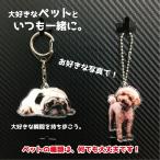 ショッピング記念 ペット 写真 フォトキーホルダー メモリアルグッズ 犬 猫 アクリル 記念品 プレゼント オーダー お孫さんのお写真でも ストラップ ギフト