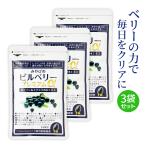 ビルベリープレミアムα3袋セットルテインビタミンAポリフェノールサプリメン...
