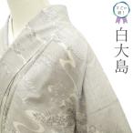 すごい値！ 本場大島紬 白大島 リサイクル 着物 袷 正絹 7マルキ 白 草花 流水 中古 仕立て上がり 身丈161 裄丈64 Ｍ みやがわ nek01602