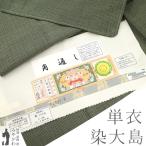 本場大島紬 単衣 着物 未使用 染大島 正絹 春 秋 角通し カジュアル 新古品 仕立て上がり 身丈167 裄丈66.5 Lサイズ みやがわ sb15387