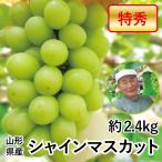 2.4kg автомобиль in мускат Yamagata префектура производство Special превосходящий 600g и больше ×4. виноград бесплатная доставка прямая поставка от производителя ваш заказ .. неделя конец отправка сэндай ... .. передний. .