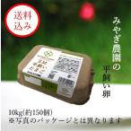 みやぎ農園の平飼い卵 (10kg※約160個)
