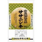 米 ササニシキ 精米 10kg 白米 令和6年度 宮城県北産