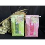 値下げしました 米 宮城県産 美味しい ご自宅お試し用 ご贈答用　米 ササニシキ精米２ｋｇ+つや姫精米２ｋｇセット 令和７年度宮城県産