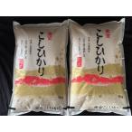 米 こしひかり 精白米10kg(5kg×2袋) 令和6年度宮城県産