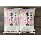 ショッピング米 10kg 送料無料 米 まなむすめ 精米１０ｋｇ（５ｋｇ×２袋） 令和７年度産 宮城県産