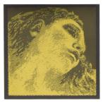 ヴァイオリン弦 evah pirazzi gold(エヴァピラッツィ ゴールド)Ｇ ※メール便対応