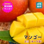  манго . старый остров производство Okinawa примерно 2kg 4~5 шар включая доставку прямая поставка от производителя 6 месяц последняя декада .. последовательный отправка 