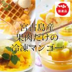 マンゴー 宮古島産 冷凍(国産)3kg 送料無料