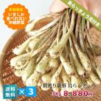  остров rakkyou 3kg утро ..