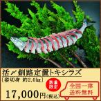 .. Кусиро город ..tokisilaz высота свежесть . гарантия .. состояние .. соль . покрой ... жир. ..... белый лосось 