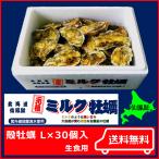 北海道仙鳳趾 殻牡蠣 生食用 Lサイズ30個入 海鮮品牡蠣 BBQ牡蠣 牡蠣おいしい 牡蠣直送 牡蠣 御中元牡蠣 牡蠣北海道 牡蠣大粒 牡蠣の殻
