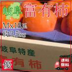 【送料無料】岐阜県産 富有柿(ふゆうがき) 優品 Mサイズ 18個 約3.5Kg 箱入り (自社農園直送) (販売期間10月-12月中旬)