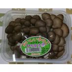 [ пробный специальная цена ] обычный .. симедзи 100g