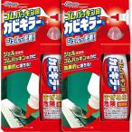 ゴムパッキン用カビキラー ×2セット