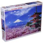 1000ピースジグソーパズル世界遺...