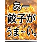 国産野菜・豚肉使用、ニンニクなしの宇都宮出身店主が作る、こだわり「みやの生餃子」24個×3パック入り 手作りラー油付き。にんにくなしです。（送料無料）