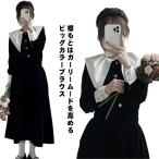 ビッグカラーブラウストップスレディ...