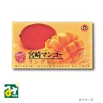 クッキー チョコレート マンゴー 宮崎マンゴーラングドシャ 15枚入 4973110143188 南寿製菓
