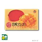 クッキー チョコレート マンゴー 宮崎マンゴーラングドシャ 24枚入 4973110145083 南寿製菓