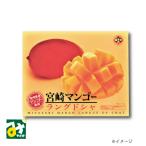 クッキー チョコレート スイーツ 宮崎マンゴーラングドシャ 30枚入 4973110149487 南寿製菓