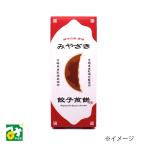 せんべい 煎餅 餃子 みやざき餃子煎餅 宮崎空港商事