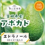[ предварительный заказ распродажа 2026 год 10 месяц отправка ] Miyazaki производство авокадо [ Ed lano-ru]S размер (200g~249g)×1 шар упаковка ввод местного производства авокадо местного производства фрукты фрукты подарок 