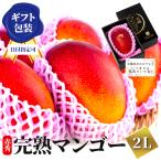 2025 宮崎完熟マンゴー 秀品-極上玉(赤秀) 大サイズ×1玉 宮崎産 完熟 極上 朝採れ 贈答 フルーツ ギフト