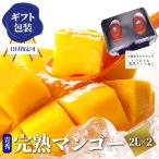 2023 宮崎完熟マンゴー 秀品-通常玉（青秀） 大サイズ×2玉 宮崎産 完熟 極上 朝採れ 贈答 フルーツ ギフト