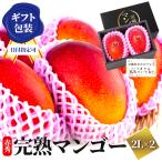 2025 宮崎完熟マンゴー 秀品-極上玉(赤秀)大サイズ×2玉 宮崎産 完熟 極上 朝採れ 贈答 フルーツ ギフト