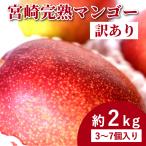 2025 送料無料 宮崎完熟マンゴー 訳あり お買い得な 約2kg 3〜7個入り 宮崎産 朝穫れ 完熟マンゴー