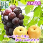  фрукты комплект виноград 1Kg+ груша 1Kg бесплатная доставка несессер прямая поставка от производителя новый pio-ne. вода груша 