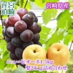  фрукты комплект виноград 1.5Kg+ груша 2Kg бесплатная доставка несессер прямая поставка от производителя новый pio-ne