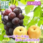  фрукты комплект виноград 1Kg+ груша 2Kg бесплатная доставка несессер прямая поставка от производителя новый pio-ne