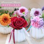 プリザーブドフラワー クリアケース入り マノン 一輪花 母の日 ギフト お花 かわいい プレゼント お祝い 誕生日 プリザード おしゃれ 送料無料 ラッピング可