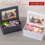  консервированный аранжировка цветов memorial фото box фоторамка День матери подарок . цветок . цветок ... симпатичный роза бесплатная доставка упаковка возможно 