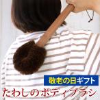 タワシのボディブラシ 体洗い 身体 