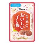 カンロ まるごとおいしい干し梅 19g×1袋