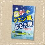 大丸本舗 塩クエン酸入りぶどう糖 20個包装×１袋