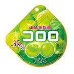 UHA味覚糖 コロロ シャインマスカット 48g×6袋入×１BOX
