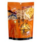 トーノー（東海農産） じゃり豆 濃厚チーズ 70g(個包装)×１袋