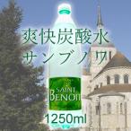 ショッピング炭酸水 炭酸水 1.25L フランス産　サンブノワSaint Benoit 1250ml　12本　