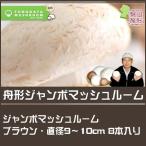 山形県産 産地直送 送料無料 ジャンボマッシュルーム ブラウン 8本　直径9〜10cm