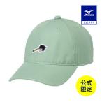  Mizuno официальный Mizuno фирменный магазин ограничение one отметка Logo колпак зеленый унисекс бейсбол клиренс 