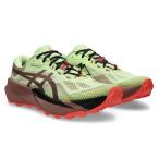 ASICS( Asics )TRABUCO 14 тигр b-ko14(1011C166) спорт бег обувь Trail Ran tore Ran jo серебристый g уличный обувь мужской 