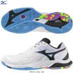 MIZUNO（ミズノ）ウエーブファング 2 FIT WAVE FANG 2 FIT（71GA2312）バドミントンシューズ スポーツ 靴 スニーカー 2E相当 ユニセックス