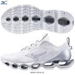 MIZUNOWAVEPROPHEC...