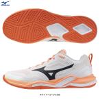 MIZUNO（ミズノ）ウエーブステルス PRO（X1GA2680）ハンドボールシューズ スポーツ トレーニング 靴 屋内用 インドア 2E相当 男女兼用 ユニセックス