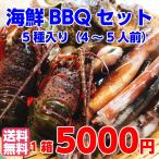 Yahoo! Yahoo!ショッピング(ヤフー ショッピング)海鮮バーベキューセット　バーベキュー　海鮮　セット 福袋 海鮮豪華5点盛りセット　海鮮BBQ お吸い物 鉄板 ホイル焼き 送料無料
