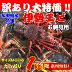 伊勢海老がお得！激安！訳アリお刺身用伊勢海老1キロ入り（小）　三重県産　伊勢エビ　